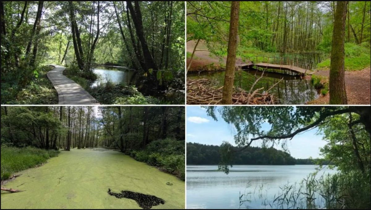 15k Autumn hike through the Briesetal Nature Reserve.